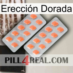 Erección Dorada 27